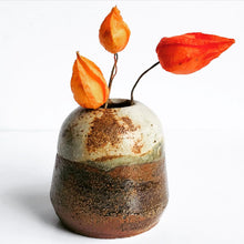 Load image into Gallery viewer, Ash Glaze Bud Vase
